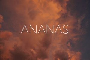 Ananas (Single)