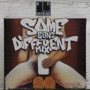 Same Song, Different Mix