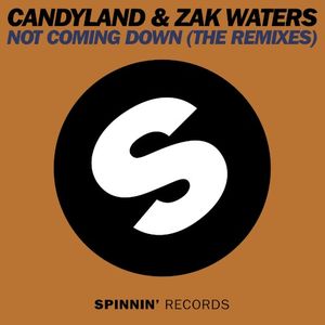 Not Coming Down (Zak Waters remix)