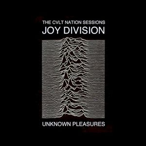 Joy Division - Closer: The CVLT Nation Sessions