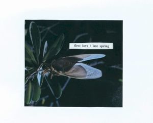 first love / late spring (Single)