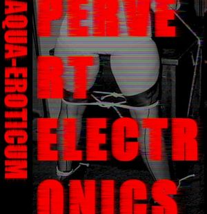 Pervert Electronics (EP)