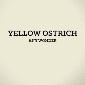 Any Wonder (Single)