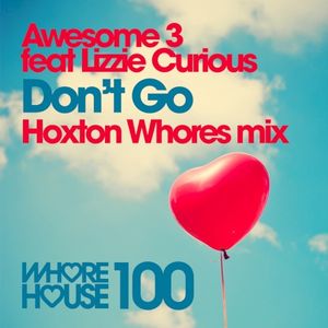 Don't Go (Hoxton Whores Mix)