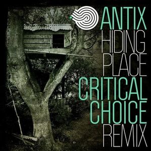 Hiding Place (Critical Choice remix)