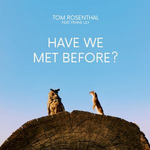 Have We Met Before? (Single)