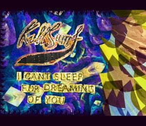 I Can't Sleep For Dreaming Of You (Single)