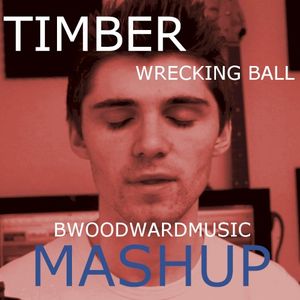 Wrecking Ball/Timber Mashup