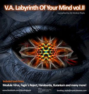 Labyrinth Of Your Mind Vol.II