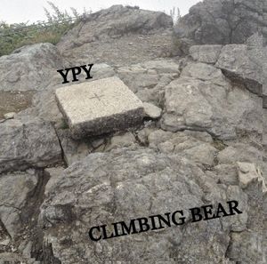 CLIMBING BEAR (Single)