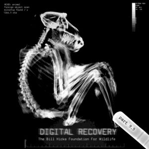 Digital Recovery, Part 9.5