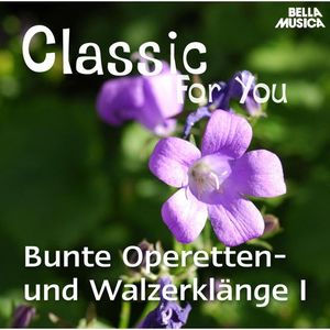 Classic for You: Bunte Operetten- und Walzerklänge Vol. 1