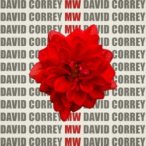 Mw (Single)