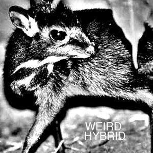 Weird Hybrid (EP)