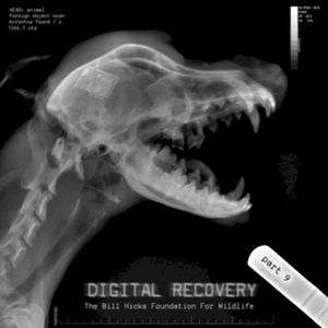 Digital Recovery, Part 9