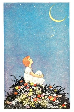 Meeko's Theme (Single)