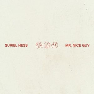 Mr. Nice Guy (Single)