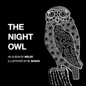 The Night Owl