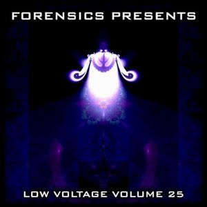 Low Voltage Volume 25