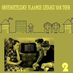 Onvergetelijke Vlaamse Liedjes van Toen, Vol. 2