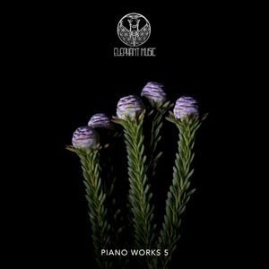 Piano Works 5