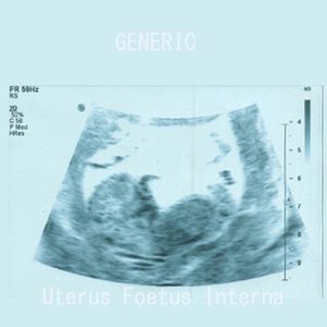 Uterus Foetus Interna (Single)