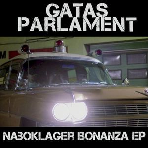Naboklager Remix Bonanza (Single)