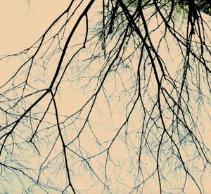 transient sleep (Single)