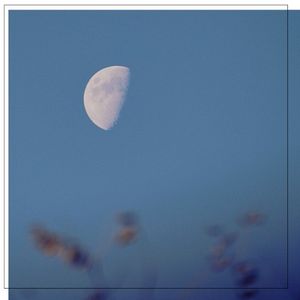 Phase Shift (Single)