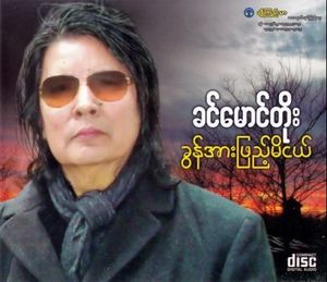 ခွန်အားဖြည့်မိငယ်