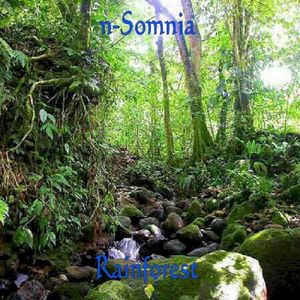 Rainforest (Single)