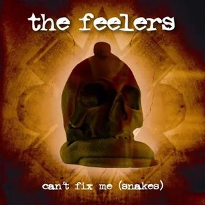 Can't Fix Me (Snakes) (Single)