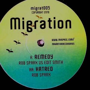 Remedy / Hatred (Single)