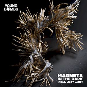 Magnets in the Dark (feat. Lizzy Land) (Single)