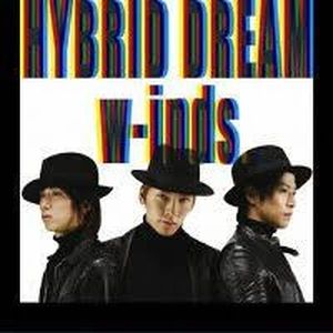 Hybrid Dream / Rain Is Falling (Single)
