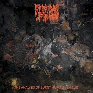 The Analysis of Burnt Human Remains (EP)