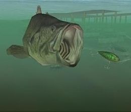 image-https://media.senscritique.com/media/000021630384/0/big_catch_bass_fishing_2.jpg