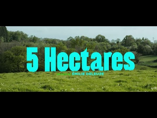 5 hectares