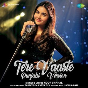 Tere Vaaste (Punjabi Version) (OST)