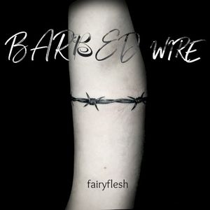 BarBeD wiRe