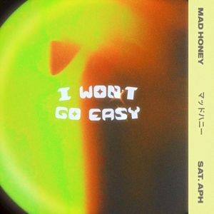 I Won't Go Easy (Single)