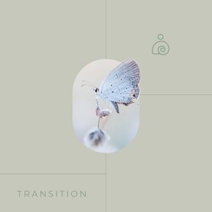 Transition (Single)