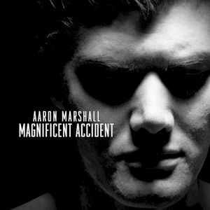 Magnificent Accident