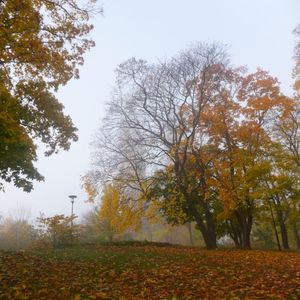 Södermalm in Autumn