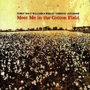 Meet Me in the Cotton Field