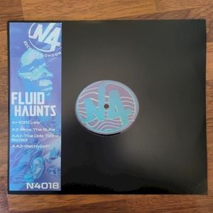 Fluid Haunts E.P (EP)