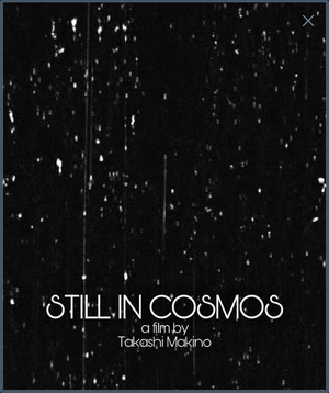 Still in cosmos