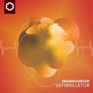 Defibrillator (Single)