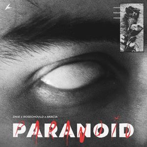 Paranoid (Single)