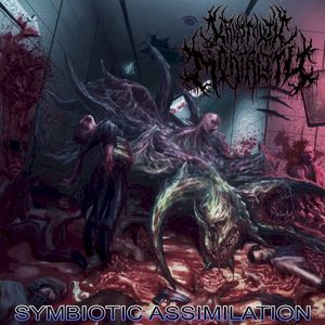 Symbiotic Assimilation